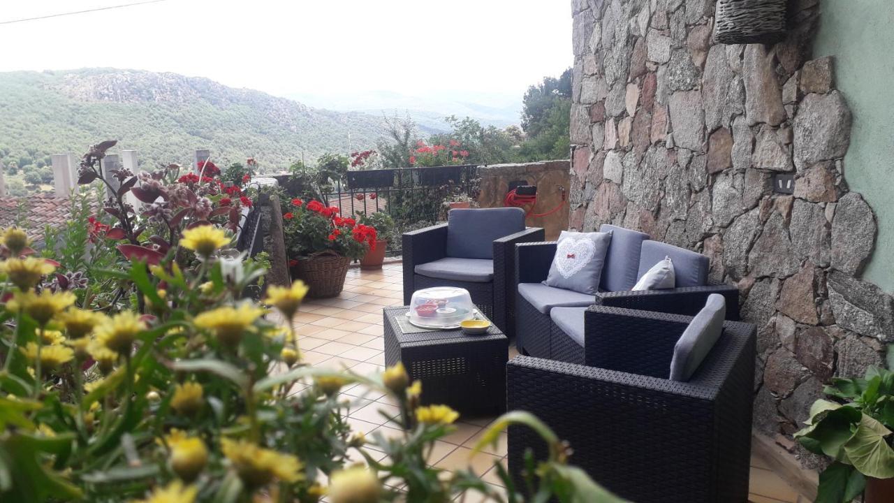 Apartment Casa Sa Hosta